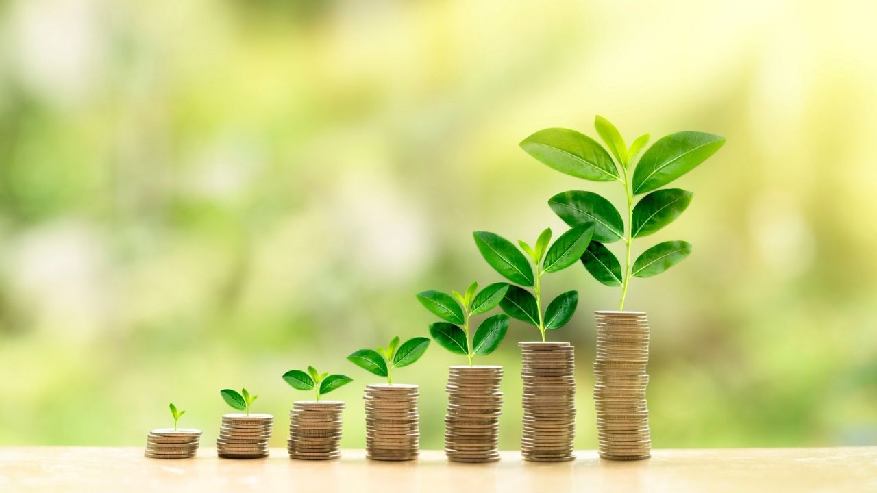 save money live better