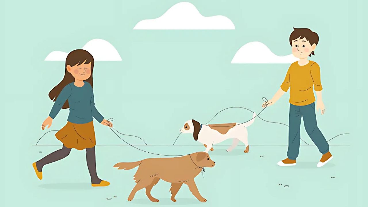 pet sitting or dog walking